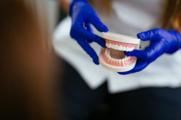 Holland, TX Holistic Dental Care Services Company
